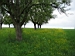 Schwaikheim