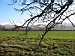 Schwaikheim